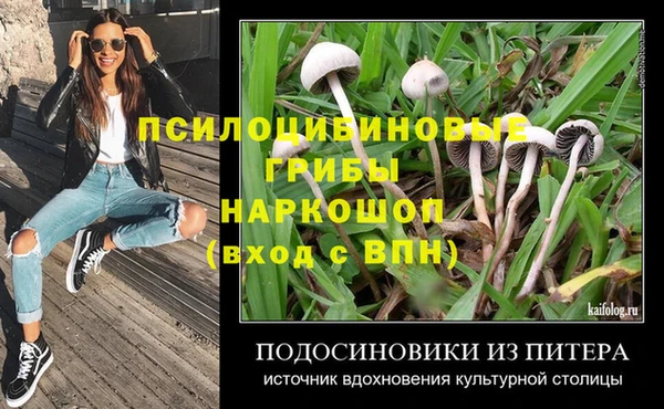 СК Новокубанск