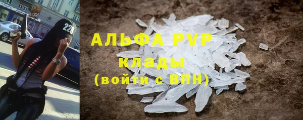 Альфа ПВП Новодвинск