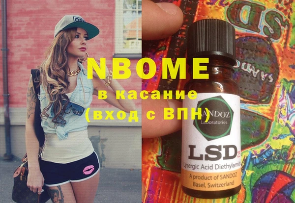 сатива Няндома