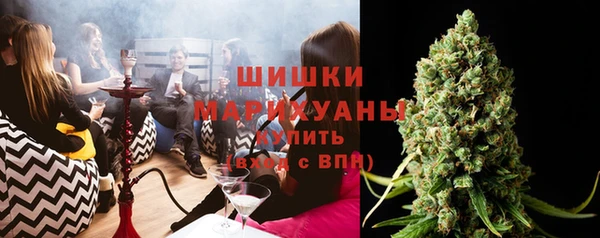 сатива Няндома