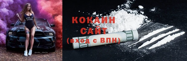 сатива Няндома