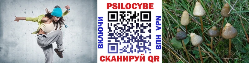 что такое наркотик  Нижнеудинск  Псилоцибиновые грибы Psilocybine cubensis 