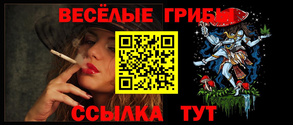 Галлюциногенные грибы прущие грибы Нижнеудинск